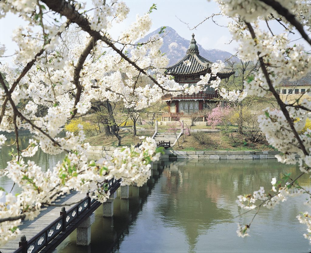 Южная Корея природа Весна