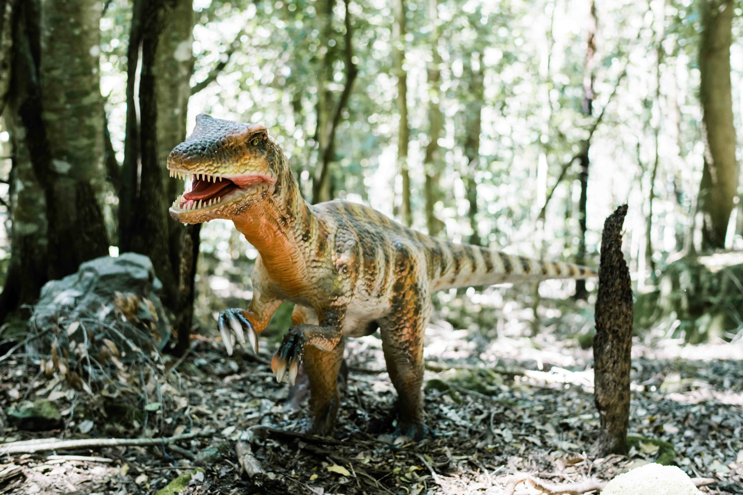 Dinosaur Valley now open at Scenic World – Travel & Cruise Weekly